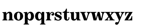 Boutique Serif S Bold Font LOWERCASE