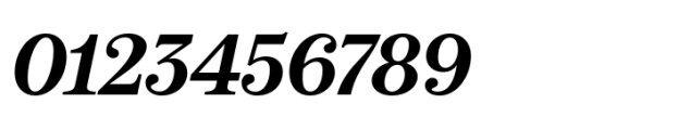 Boutique Serif S Medium Italic Font OTHER CHARS