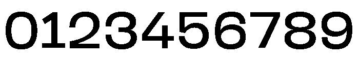 BoogieSchoolSans High4th Font OTHER CHARS