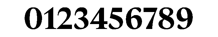 BoogyBrutWEB Bold Font OTHER CHARS