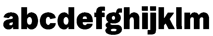 Booton TRIAL Heavy Instance FONT
