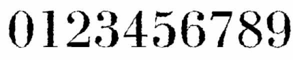 Bodoni Rough Font OTHER CHARS