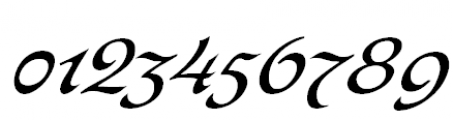 Bogdan Siczowy Cursive Font OTHER CHARS