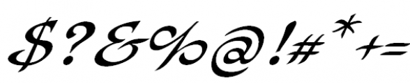 Bogdan Siczowy Cursive Font OTHER CHARS
