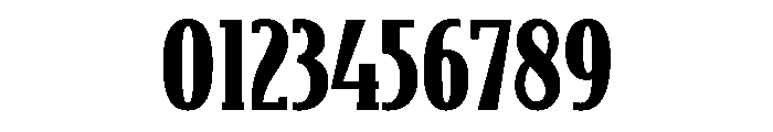 Bodega Serif Black Font OTHER CHARS