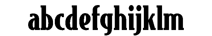 Bodega Serif Black FONT