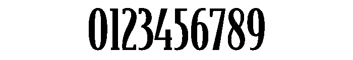 Bodega Serif Medium Font OTHER CHARS