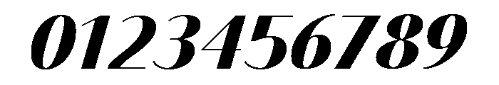 Bodoni Sans Black Italic Font OTHER CHARS