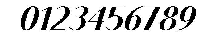 Bodoni Sans Bold Italic Font OTHER CHARS