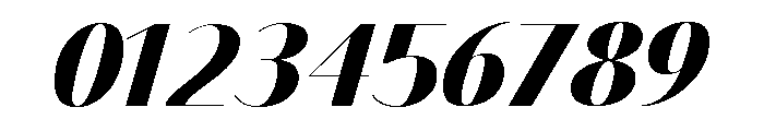 Bodoni Sans Display Black Italic Font OTHER CHARS