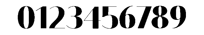 Bodoni Sans Display Black Font OTHER CHARS