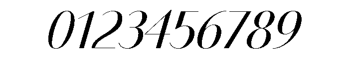 Bodoni Sans Display Regular Italic Font OTHER CHARS