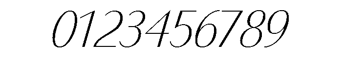 Bodoni Sans Light Italic Font OTHER CHARS
