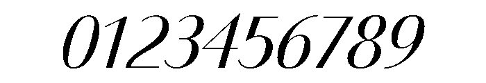 Bodoni Sans Regular Italic Font OTHER CHARS