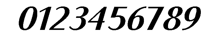 Bodoni Sans Text Bold Italic Font OTHER CHARS