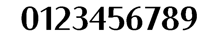 Bodoni Sans Text Bold Font OTHER CHARS