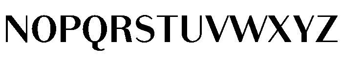 Bodoni Sans Text Bold Font UPPERCASE