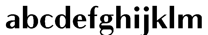 Bodoni Sans Text Bold FONT