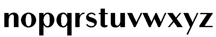 Bodoni Sans Text Bold Font LOWERCASE