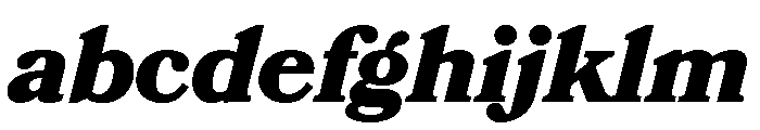 Bookmania Black Italic FONT