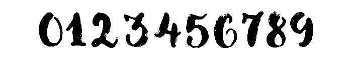 Botanica Script Dry Brush Font OTHER CHARS