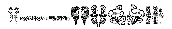 Botanique Ornaments Font UPPERCASE