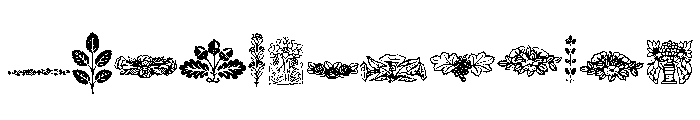 Botanique Ornaments FONT