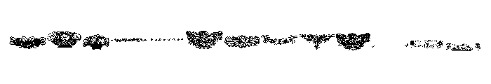 Botanique Ornaments Font LOWERCASE