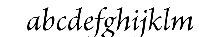 BriosoPro-Italic Font LOWERCASE