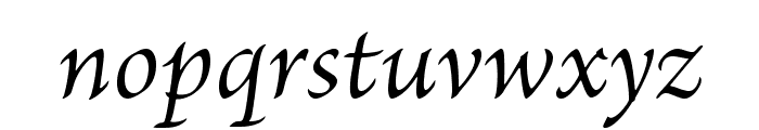 BriosoPro-Italic Font LOWERCASE