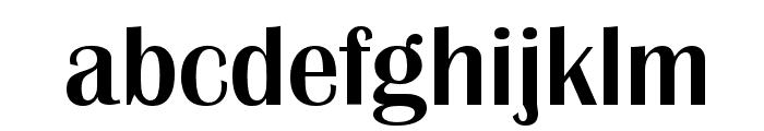 Bristol-Medium-Regular Font LOWERCASE