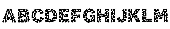 Brady Regular FONT