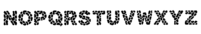 Brady Regular Font LOWERCASE