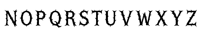 Brant Regular Font LOWERCASE