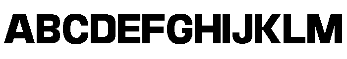 Braskion Var Black Font UPPERCASE