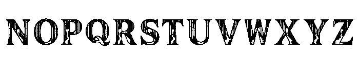 Briar Regular Font LOWERCASE