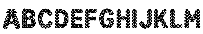 Bristol Regular FONT