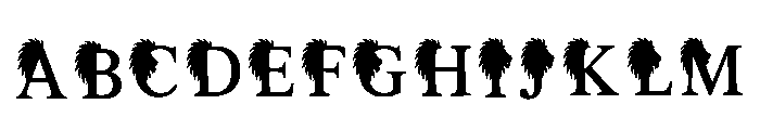 Broad Regular FONT