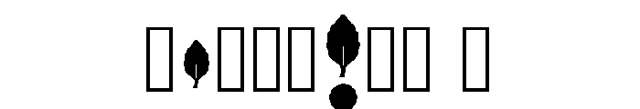 Brody Regular Font OTHER CHARS