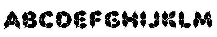 Brody Regular Font UPPERCASE