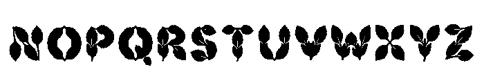 Brody Regular Font LOWERCASE