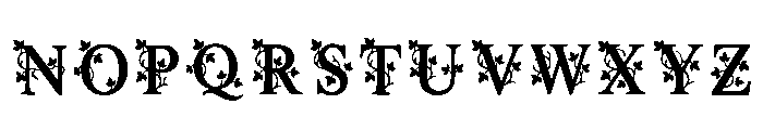 Bromm Regular Font LOWERCASE