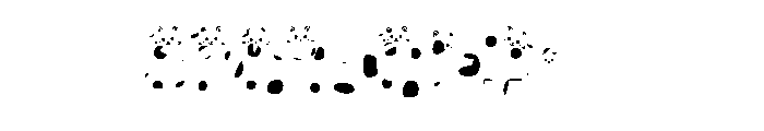 Brown Cat Font OTHER CHARS