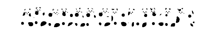 Brown Cat FONT