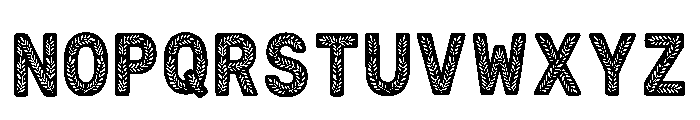Brunfelsia Regular Font LOWERCASE