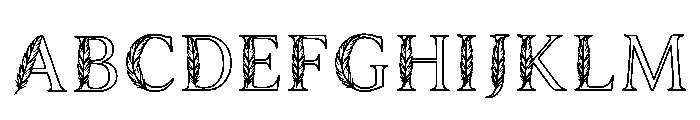 Bryan Regular FONT