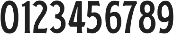 Bradford Serif Regular otf (400) Font OTHER CHARS