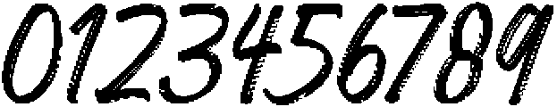Breakline Signature otf (400) Font OTHER CHARS