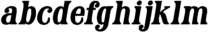 Brenoir Serif Logo Font Regular Italic otf (400) FONT