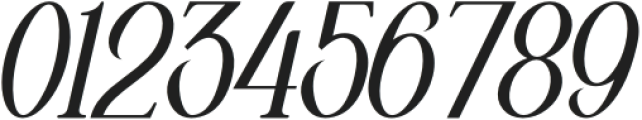 Brighelyn Italic otf (400) Font OTHER CHARS